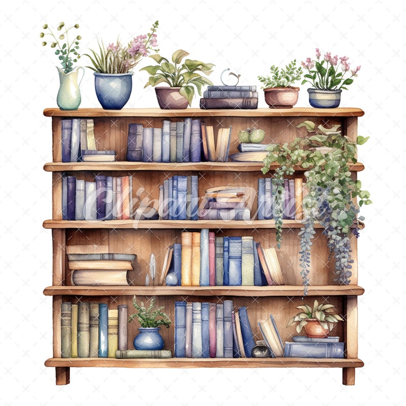 20 Highquality Book Shelves Clipart Book Shelves Digital Watercolor