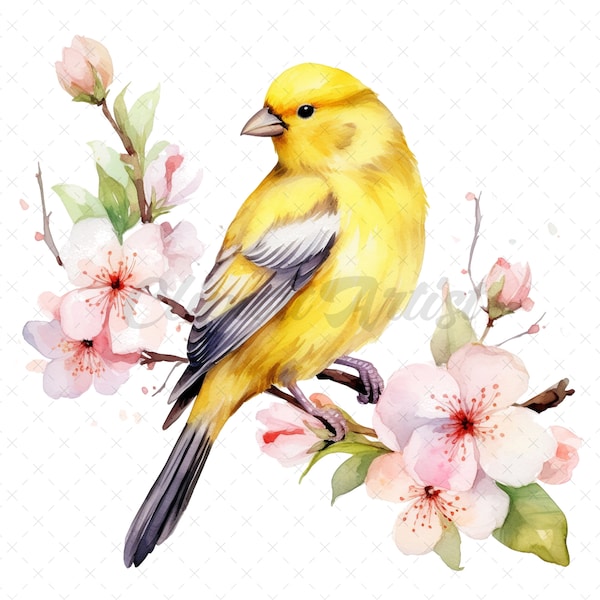 20 High-Quality Canary Clipart - Canary digital watercolor JPG instant download for commercial use - Digital download