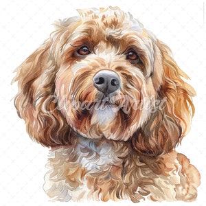 20 High-quality Cockapoo Portrait Clipart - Cockapoo Portrait Digital ...