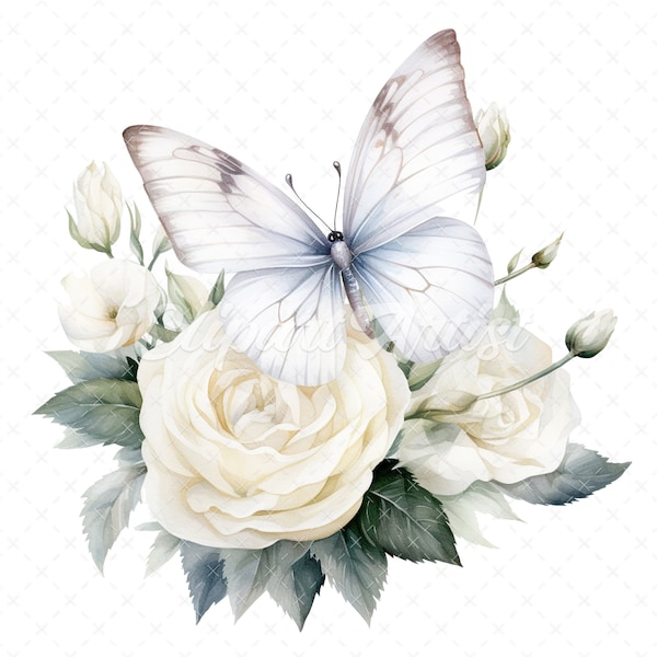 19 High-Quality White Butterfly Rose Clipart -White Butterfly digital watercolor JPG instant download for commercial use - Digital download