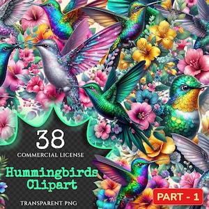Hummingbirds PNG Clipart Collection - 38 PNG, Tropical bird illustrations, Vibrant floral printables, Commercial use, Digital download
