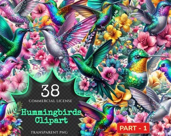 Hummingbird Clipart – 38 PNG Tropical Bird Floral Illustrations (Digital Download)