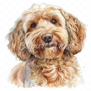 20 High-quality Cockapoo Portrait Clipart - Cockapoo Portrait Digital ...