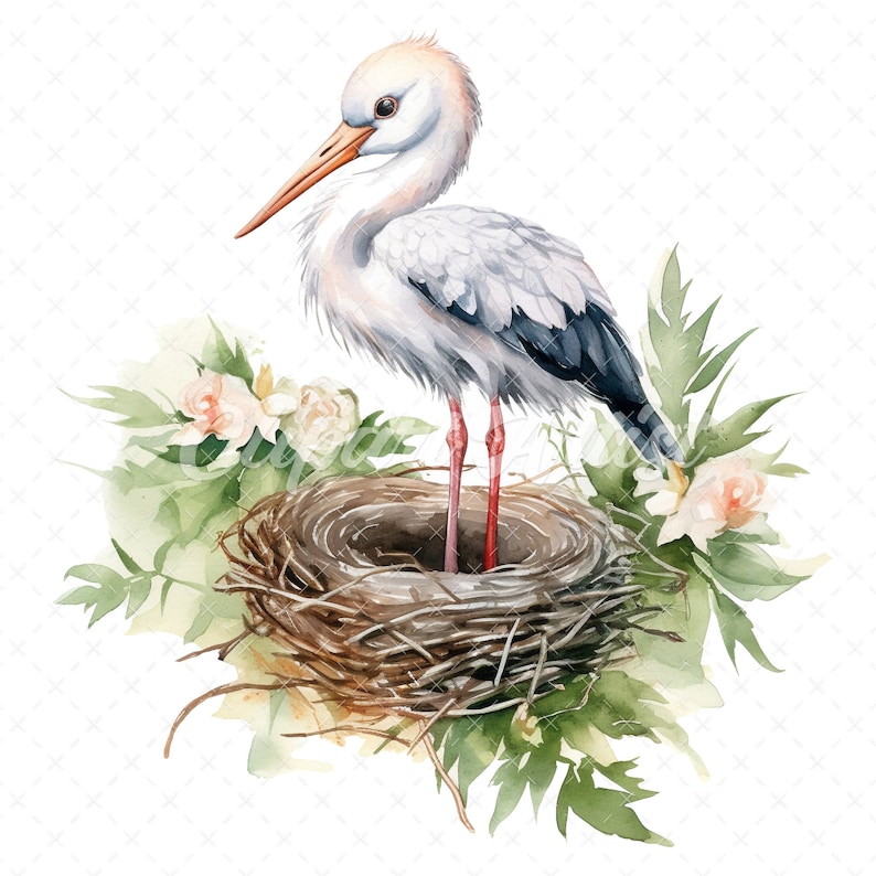 20 Highquality Stork Nest Clipart Stork Birds Digital Etsy