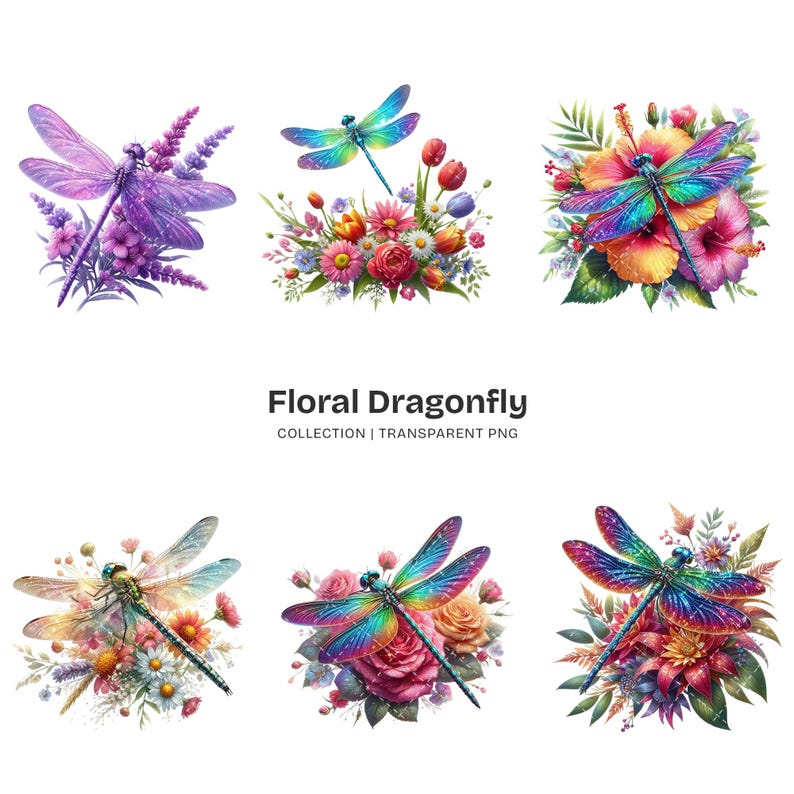 Floral Dragonfly PNG Clipart Collection – 63 Colorful Insect Graphics ...