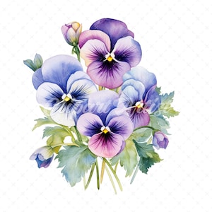 19 High-Quality Pansy Clipart - Pansy flowers digital watercolor JPG instant download for commercial use - Digital download