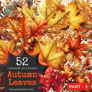 Autumn Leaves PNG Clipart Collection - 52 PNG, Warm seasonal foliage graphics, Autumn leaves art, Commercial use, Digital download