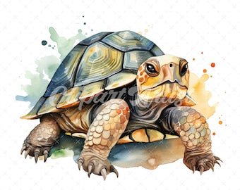 20 High-Quality Cute Tortoise Clipart - Cute tortoise digital watercolor JPG instant download for commercial use - Digital download