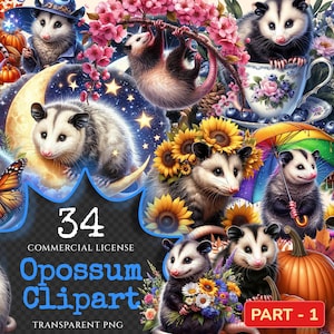 Opossum PNG Clipart Collection - 34 PNG, Adorable opossum illustrations, Cute wildlife printables, Commercial use, Digital download