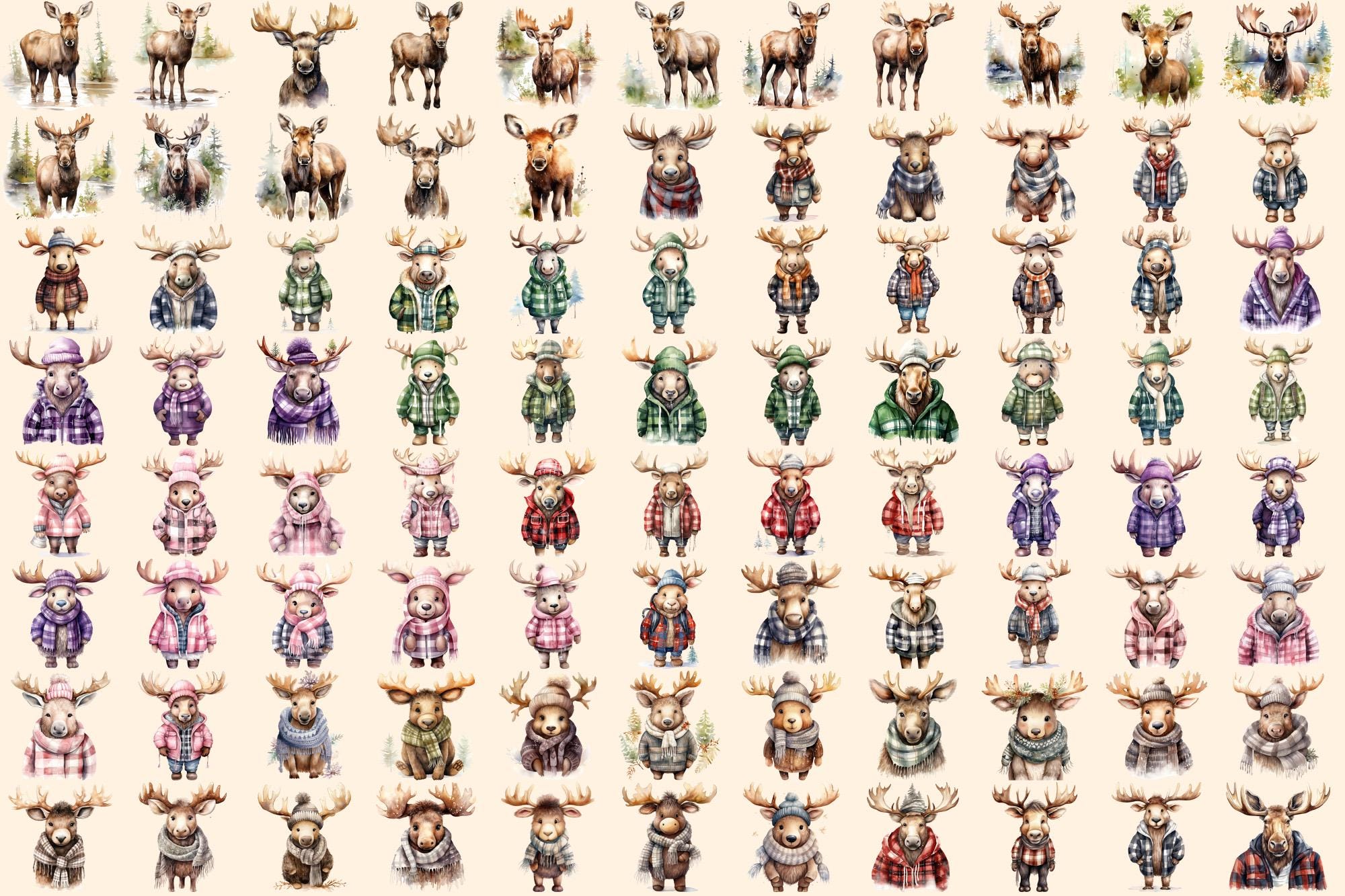 Watercolor Moose Clipart Bundle – 570+ PNG Wildlife Illustrations ...