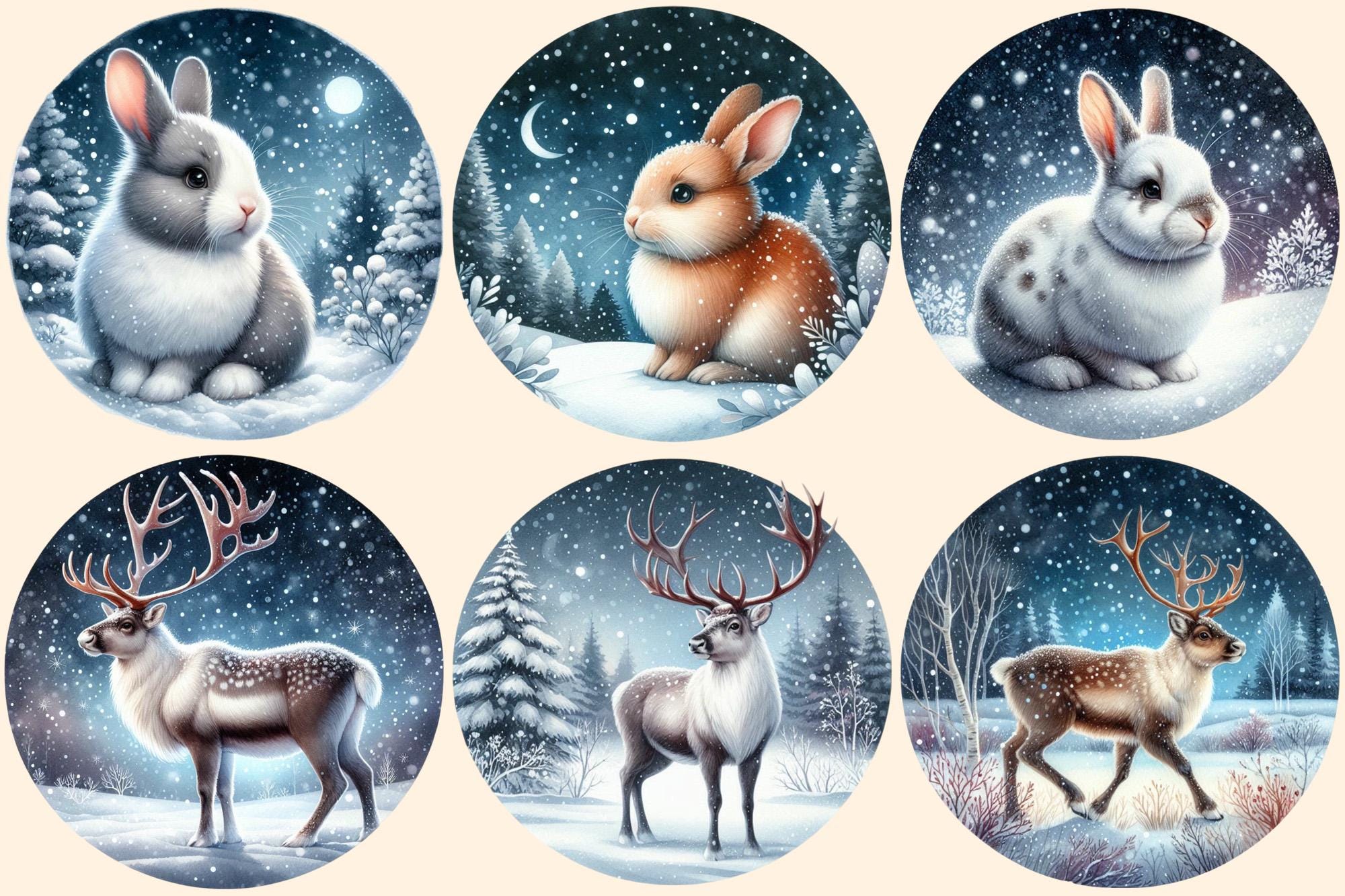 Winter Animals Header Winter Animals PNG Clipart – Arctic Wildlife Graphics (digital Download ...