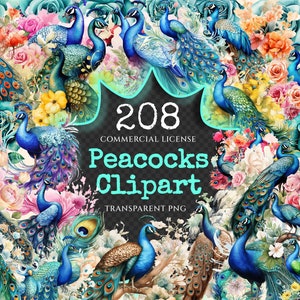 Peacocks Watercolor Clipart Bundle - 205+ transparent PNG, Regal bird illustrations, Colorful peacocks png, Commercial use, Digital download