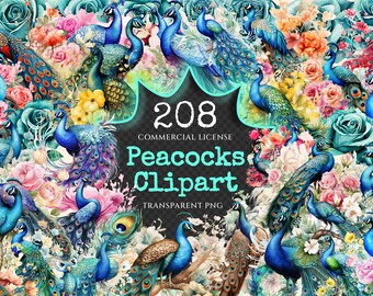 Watercolor Peacock Clipart Bundle – 205+ PNG Illustrations (Digital Download)