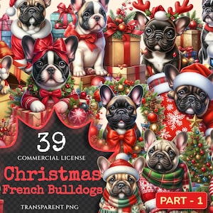 Christmas French Bulldogs PNG Clipart Collection - 39 PNG, Festive pup graphics, Holiday dog art, Commercial use, Digital download