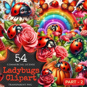 Ladybugs (P-2) PNG Clipart Collection - 54 PNG, Charming little bug illustrations, Lovable red insect art, Commercial use, Digital download
