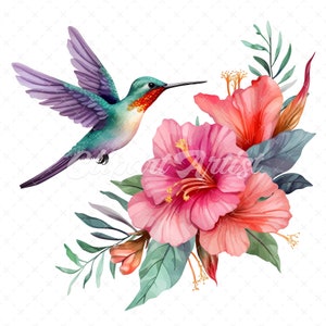 20 High-Quality Floral Hummingbird Clipart - Hummingbird digital watercolor JPG instant download for commercial use - Digital download