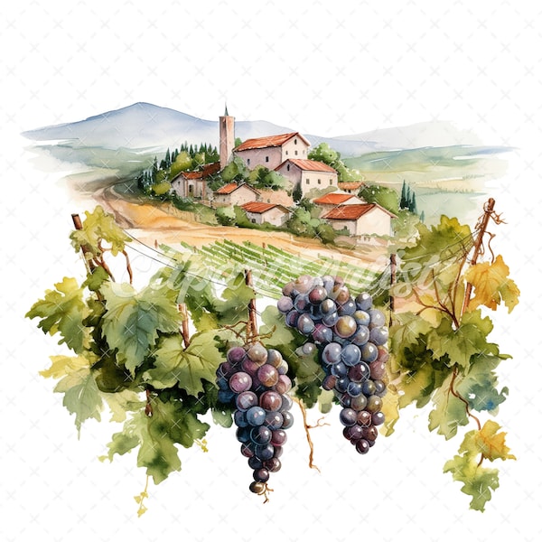 19 High-Quality Vineyard Clipart - Vineyard digital watercolor JPG instant download for commercial use - Digital download