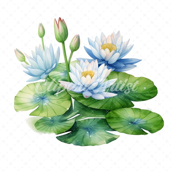 20 High-Quality Water Lily Clipart - Water lily digital watercolor JPG instant download for commercial use - Digital download