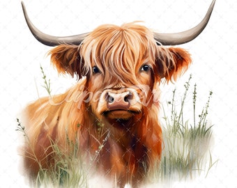 Highland Cow Watercolor Clipart – Scottish Cow Portrait (Digital Download)