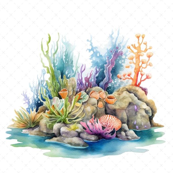 19 High-Quality Tidepool Clipart - Tidepool digital watercolor JPG instant download for commercial use - Digital download