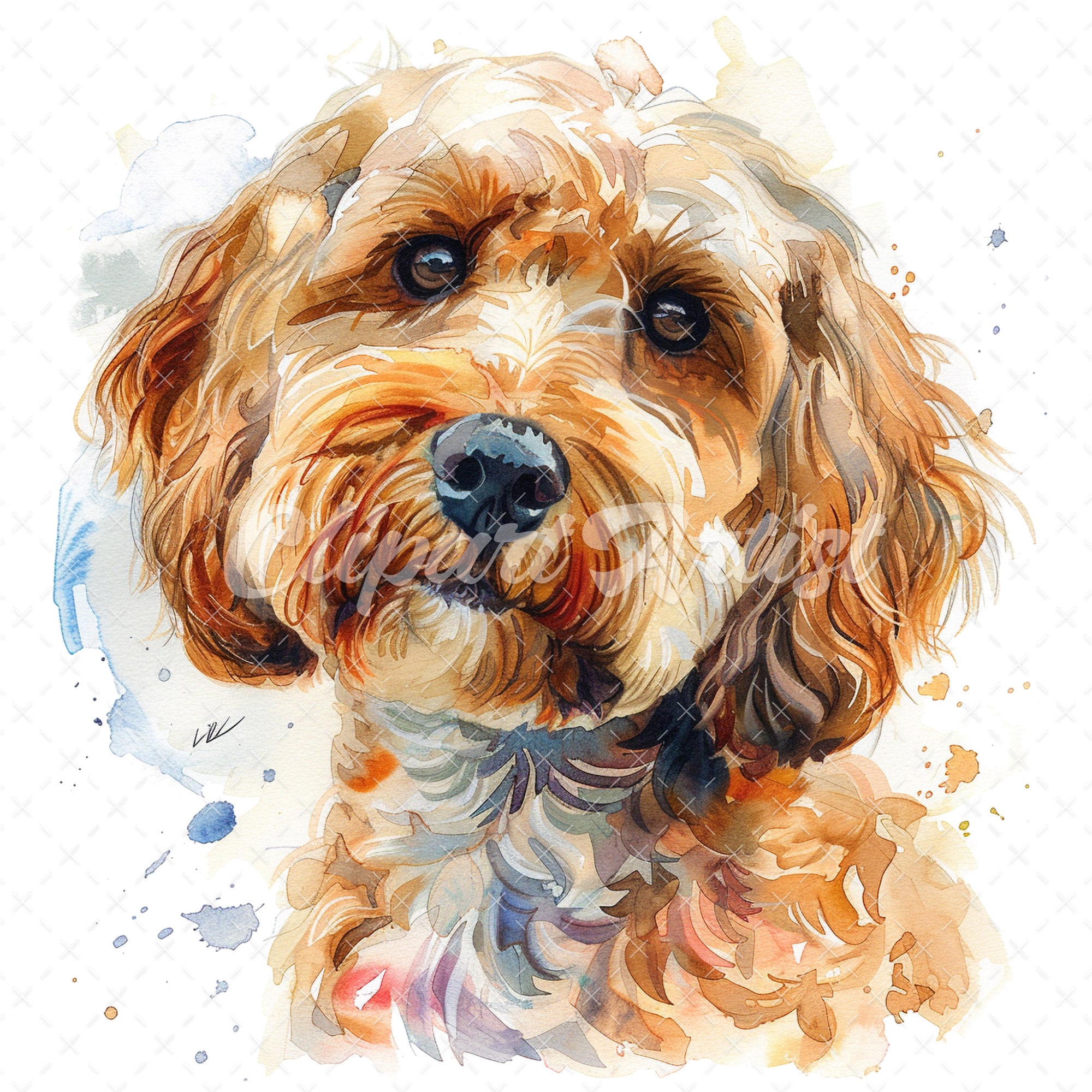Cockapoo Digital 20 High-quality Cockapoo Portrait Clipart - Cockapoo Portrait Digital ...