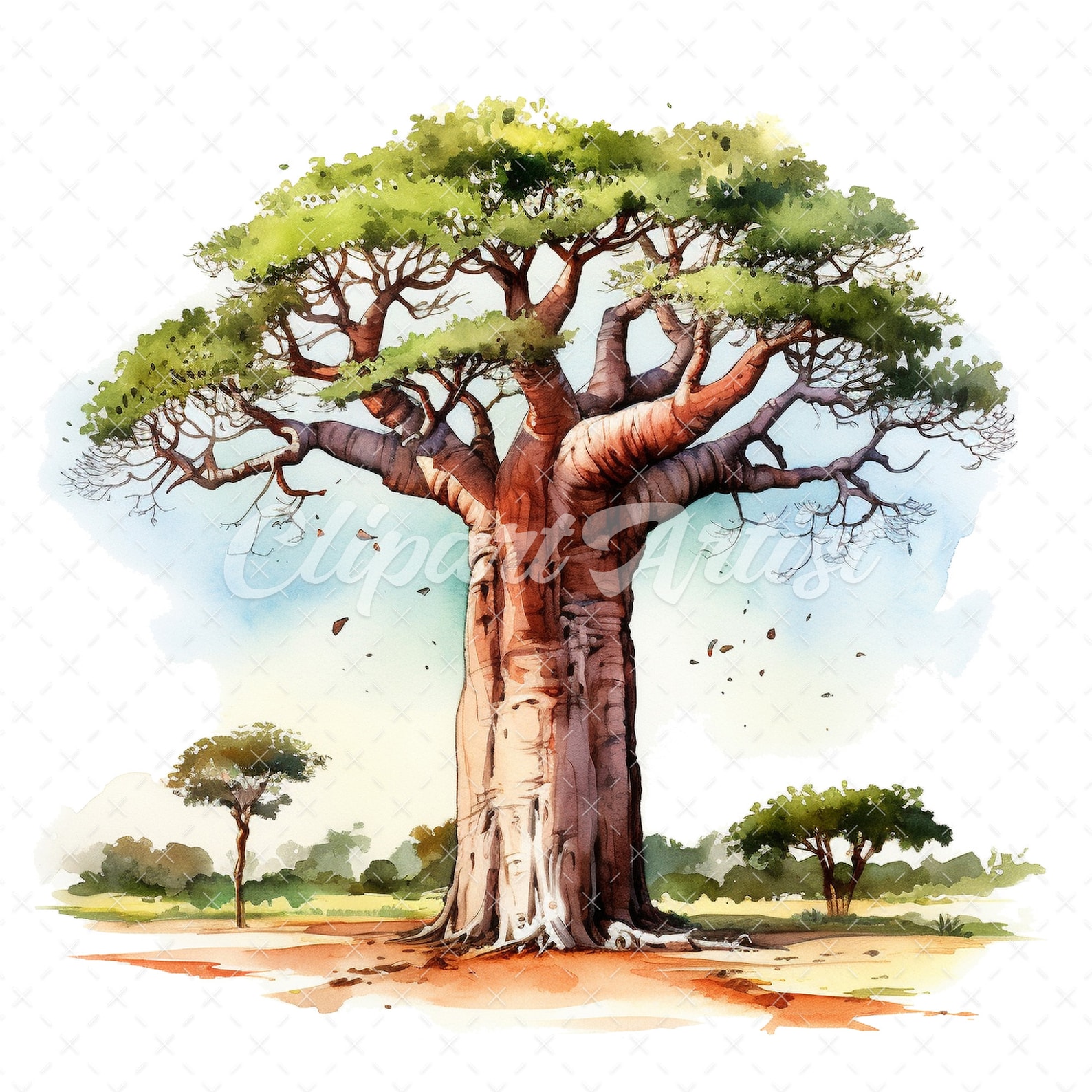 Watercolor Baobab Tree Clipart African Tree Illustration digital watercolor-baobab-tree-clipart-african-tree-illustration-digital