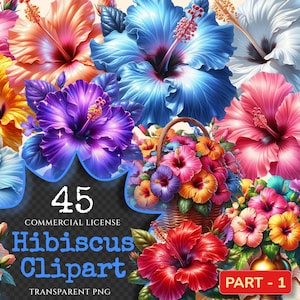 Hibiscus PNG Clipart Collection - 45 PNG, Bright Tropical blooms illustrations, Vibrant floral prints, Commercial use, Digital download