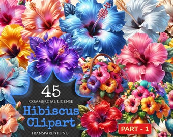 Hibiscus Clipart – 45 Tropical Floral PNG Illustrations (Digital Download)