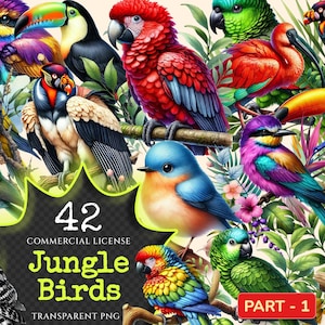 Jungle Birds PNG Clipart Collection - 42 PNG, Exotic feathered graphics, Tropical bird art, Commercial use, Digital download