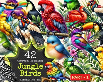 Jungle Birds PNG Clipart – Exotic Tropical Bird Art (Digital Download)