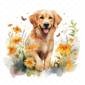 20 High-Quality Golden Retriever Clipart - Golden retriever digital watercolor JPG instant download for commercial use - Digital download