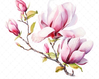 May include: A watercolor painting of a magnolia branch with pink flowers and buds. The flowers are in full bloom and have a delicate, feminine appearance.
