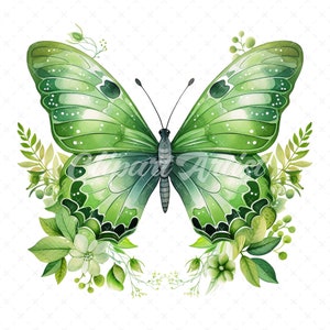 20 High-Quality Green Floral Butterfly Clipart - Butterfly digital watercolor JPG instant download for commercial use - Digital download