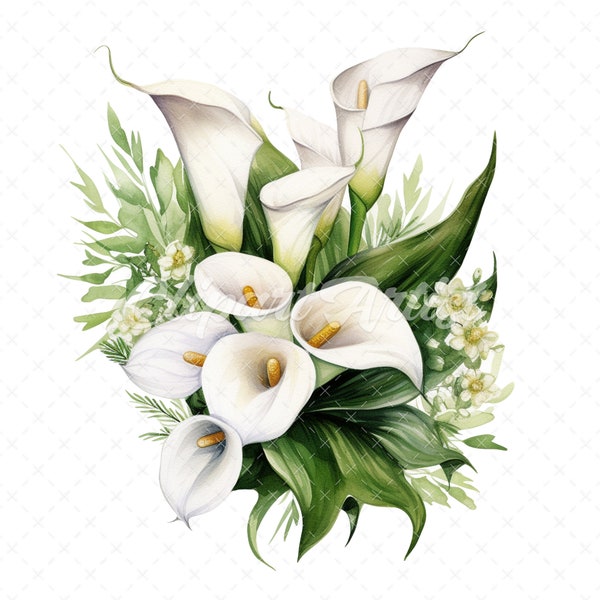 19 High-Quality Calla Lily Bouquet Clipart - Calla lily digital watercolor JPG instant download for commercial use - Digital download