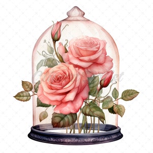 20 High-quality Rose Glass Dome Clipart Rose Glass Dome Digital