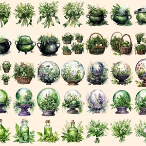 Herbal Witches Watercolor Clipart Bundle - 310+ transparent PNG, Whimsical fantasy graphics, Enchanted png, Commercial use, Digital download