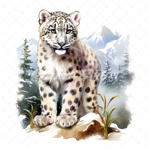 20 High-Quality Cute Snow Leopard Clipart - Cute snow leopard digital watercolor JPG instant download for commercial use - Digital download