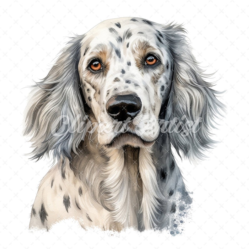 20 High-quality English Setter Clipart English Setter Digital