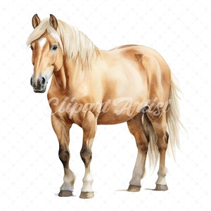 Può includere: Un dipinto ad acquerello di un cavallo marrone chiaro con una stella bianca sul muso. Il cavallo ha una criniera e una coda lunghe e fluenti.