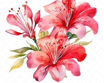 May include: A watercolor painting of pink and red flowers with green leaves. The flowers have delicate petals and are arranged in a cluster.