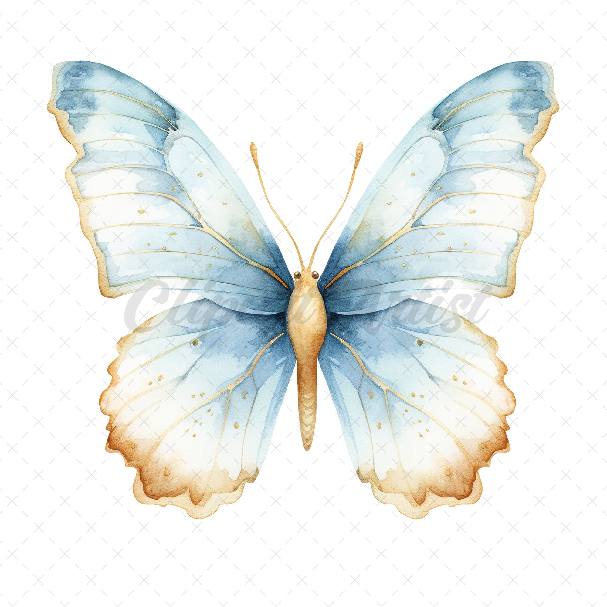 20 Highquality Blue Gold Butterfly Clipart Blue Butterfly Digital