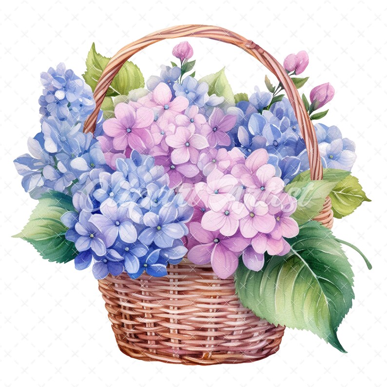 20 High-quality Hydrangea Basket Clipart Hydrangea Basket Digital