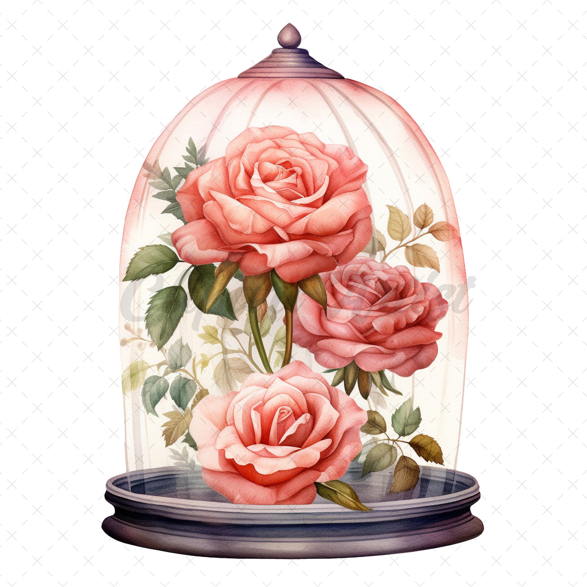 20 High-quality Rose Glass Dome Clipart Rose Glass Dome - Etsy
