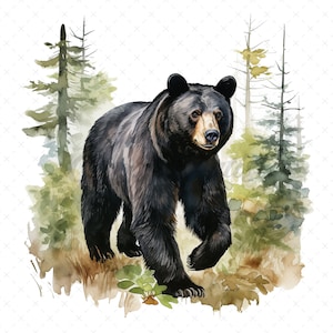 19 High-Quality Black Bear Clipart - Black bear digital watercolor JPG instant download for commercial use - Digital download