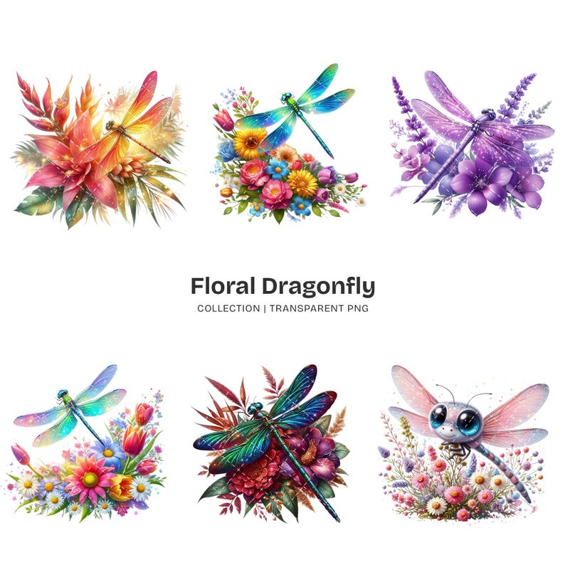 Floral Dragonfly PNG Clipart Collection – 63 Colorful Insect Graphics ...