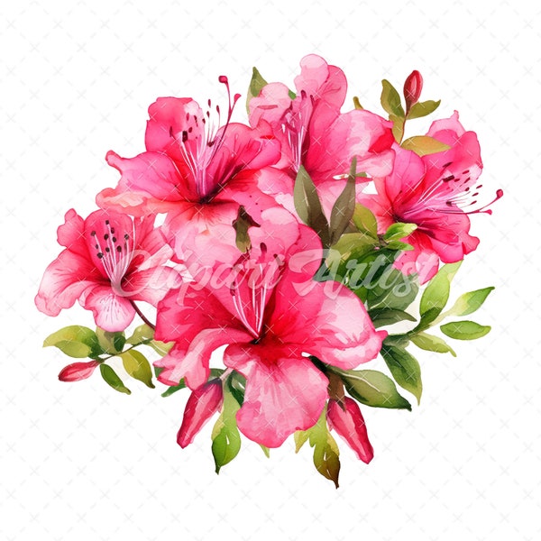 20 High-Quality Hot Pink Azalea Bouquet  Clipart -  Hot Azalea digital watercolor JPG instant download for commercial use - Digital download