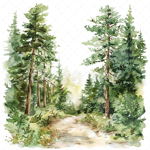 20 High-Quality Forest Trail Clipart - Forest trail landscape  watercolor JPG instant download for commercial use - Digital download