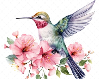 19 High-Quality Floral Hummingbird Clipart - Hummingbird digital watercolor JPG instant download for commercial use - Digital download