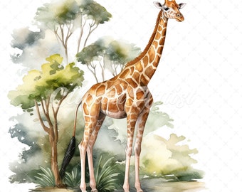 Watercolor Giraffe Clipart – Forest Animal Illustrations (Digital Download)