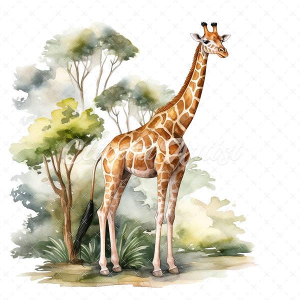 20 High-Quality Forest Giraffe Clipart - Forest giraffe digital watercolor JPG instant download for commercial use - Digital download